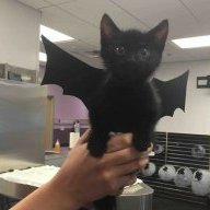 gothgirl__