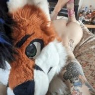 TwinkFurrySocks