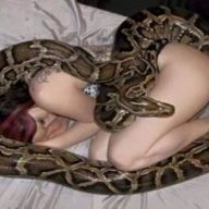 MamaPetAnaconda