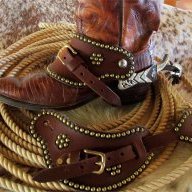 RustySpur