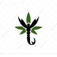 Scorpio87