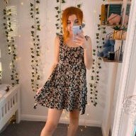 Stillagingerpet