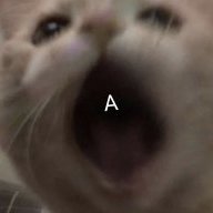 Enby20