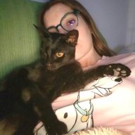 MidnightSnuggles