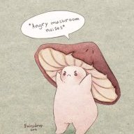 GRUMPYPIDGEE