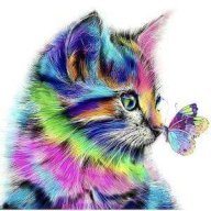 KittyKr