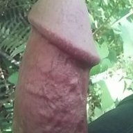 HungFitHorny
