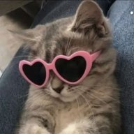 MsMeowMeow