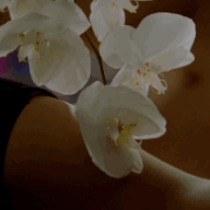 Olivia95