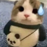 needypussy