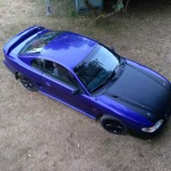 purplepony