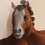 AtlasStallion