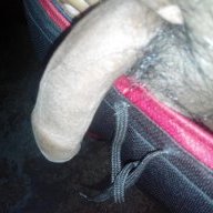 DesiBlackHot