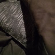 longcam