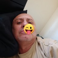 Dandogg