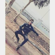 sardi33