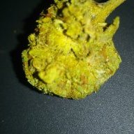 Toker