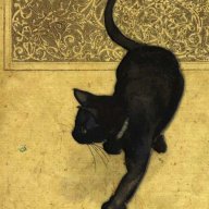 meow_23
