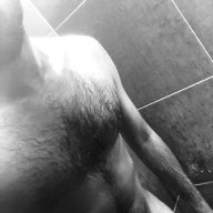 DutchHunk