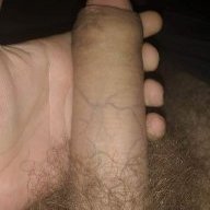 anyythinggoesladies