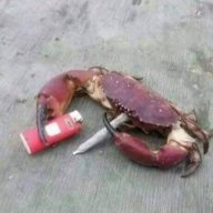 MrGurf