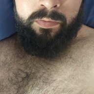 BurlyBear-89