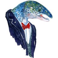 DudeSalmon