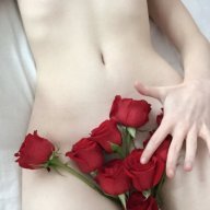 Dakia-rose