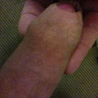 tommybbwlover