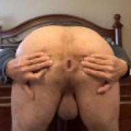 Bibottomcd