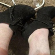 bottomsubslut
