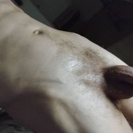 GhostDragon69