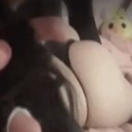 tulloid