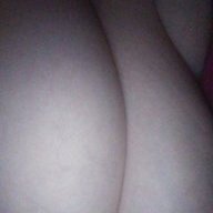 sarabear