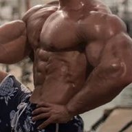 BiBodybuilder
