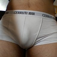 brief