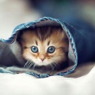 Sweetling