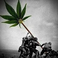 Massdick420