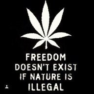 Living420
