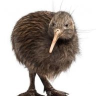 Kiwimale