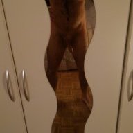 ciccino