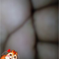 Kisstoti