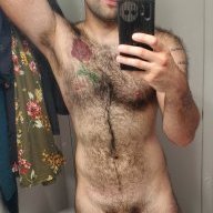 DipDIp