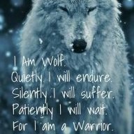 SassyWolf147