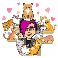 Kitty_Guy