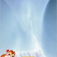 Mrmuffmaster