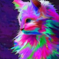 Badkitty95