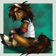 Ponybros
