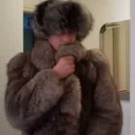 Gradfur