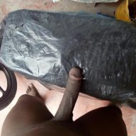 blackcock2